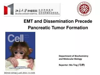 EMT and Dissemination Precede Pancreatic Tumor Formation