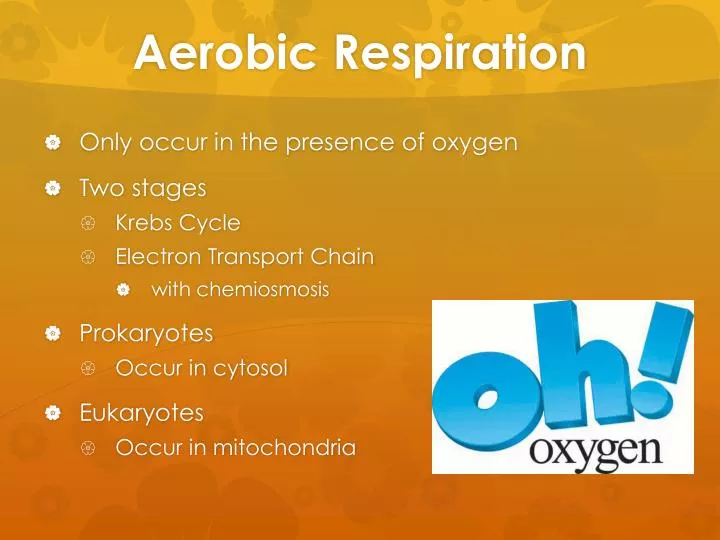 aerobic respiration