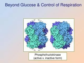 Beyond Glucose &amp; Control of Respiration