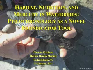 Habitat, Nutrition, and Mercury in Waterbirds: Ptilochronology as a Novel Bioindicator Tool