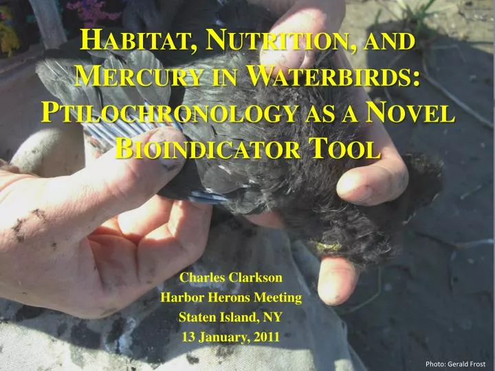 habitat nutrition and mercury in waterbirds ptilochronology as a novel bioindicator tool