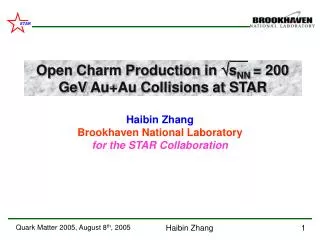 Haibin Zhang Brookhaven National Laboratory for the STAR Collaboration