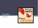 Poultry - slide 1