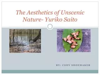 The Aesthetics of Unscenic Nature- Yuriko Saito