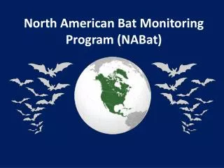 North American Bat Monitoring Program ( NABat )