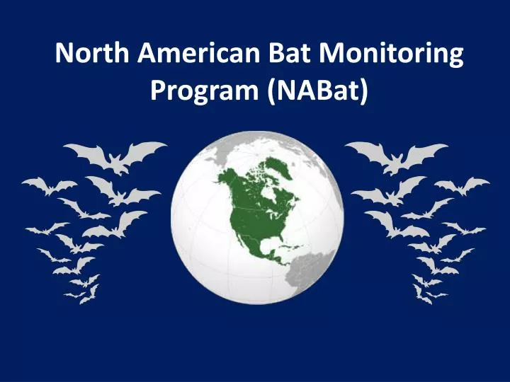 north american bat monitoring program nabat