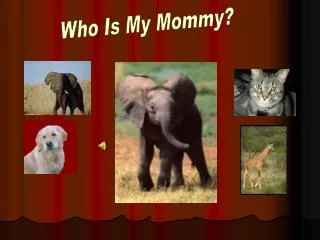 Who Is My Mommy?