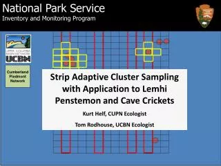 Strip Adaptive Cluster Sampling with Application to Lemhi Penstemon and Cave Crickets