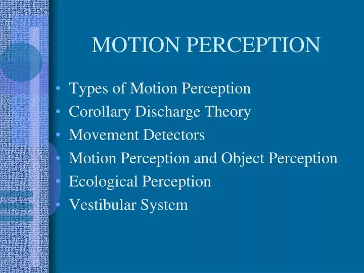 motion perception