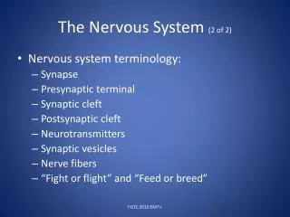 The Nervous System (2 of 2)