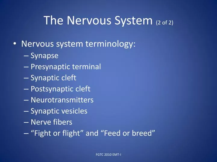 the nervous system 2 of 2