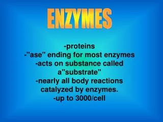 -proteins -&quot;ase&quot; ending for most enzymes -acts on substance called a&quot;substrate&quot;