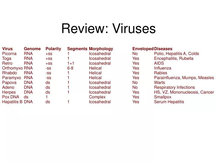 review viruses