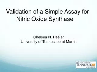 Validation of a Simple Assay for Nitric Oxide Synthase