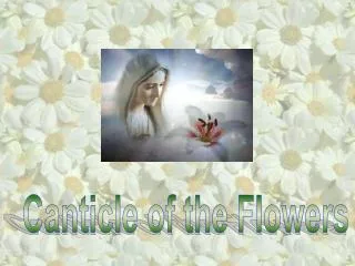 Canticle of the Flowers