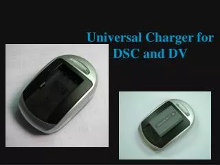 Universal Charger for DSC and DV