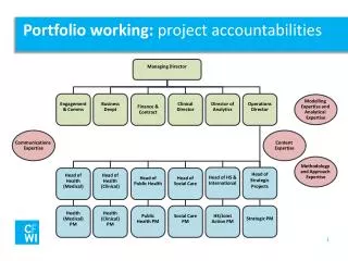 Portfolio working: project accountabilities