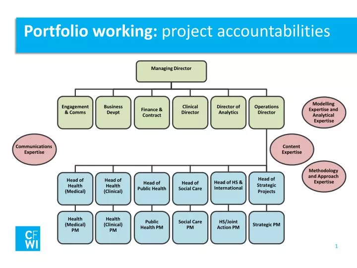 portfolio working project accountabilities