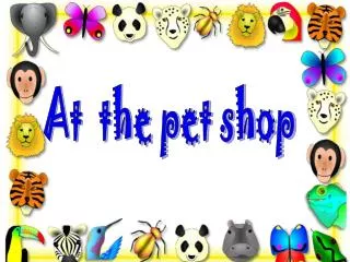 At the pet shop