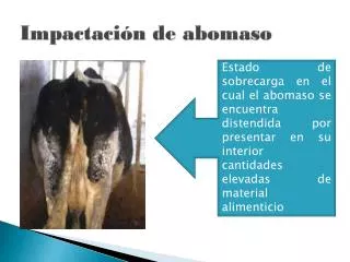 impactaci n de abomaso