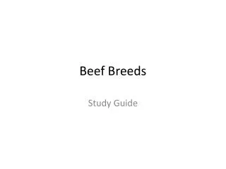 Beef Breeds