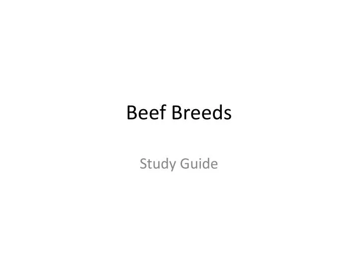 beef breeds