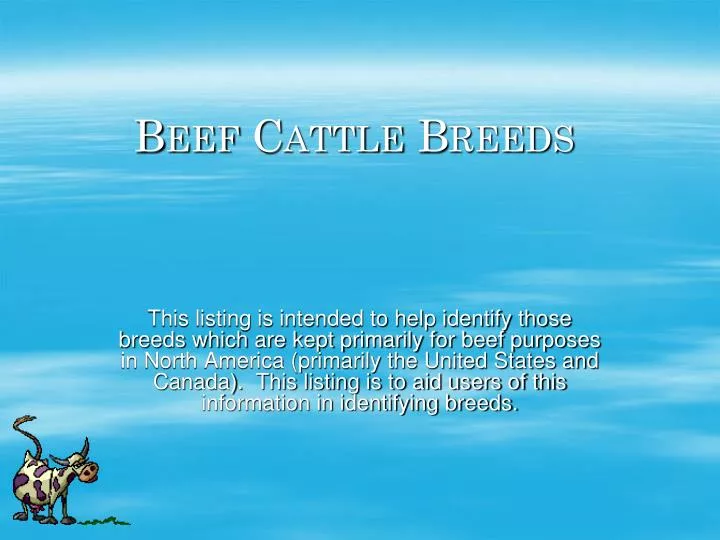 beef cattle breeds