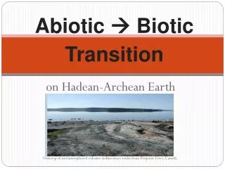 Abiotic ? Biotic Transition