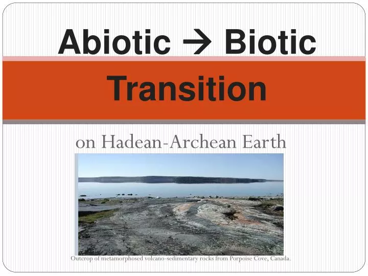 abiotic biotic transition