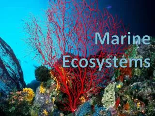 marine ecosystems