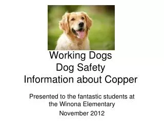 Working Dogs Dog Safety Information about Copper