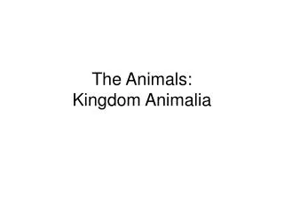 The Animals: Kingdom Animalia