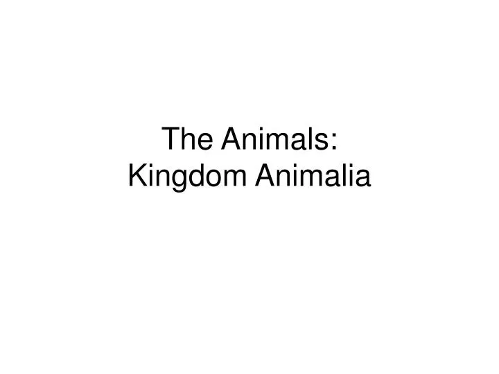 the animals kingdom animalia