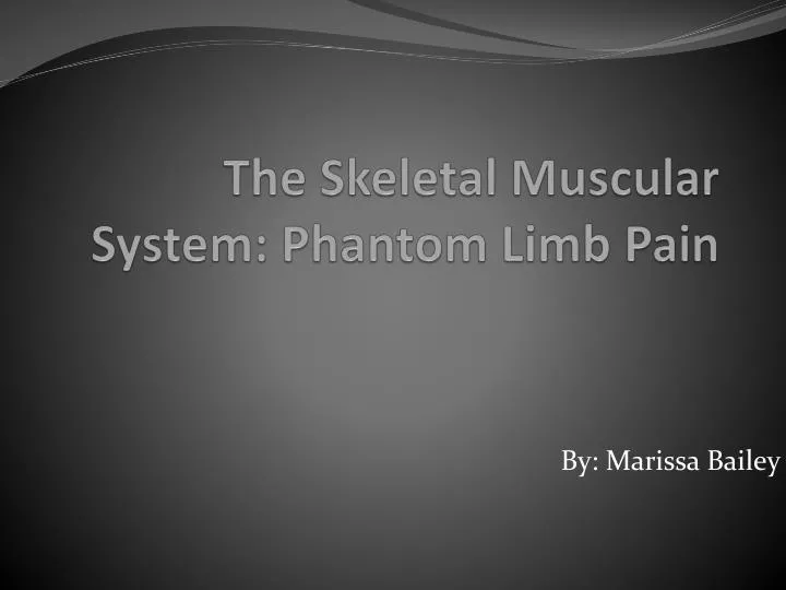 the skeletal muscular system p hantom l imb pain