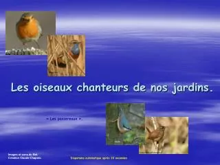 les oiseaux chanteurs de nos jardins