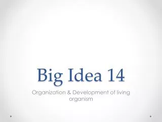 Big Idea 14