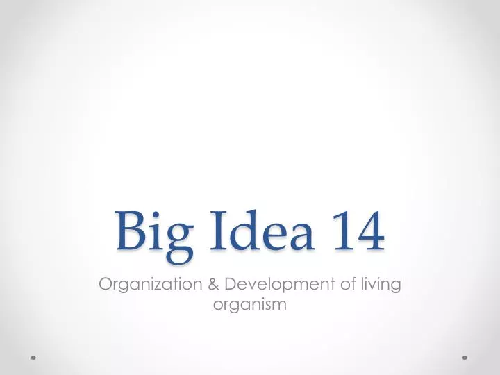 big idea 14