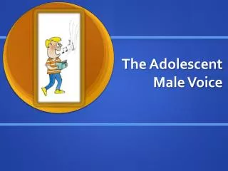 The Adolescent Male Voice