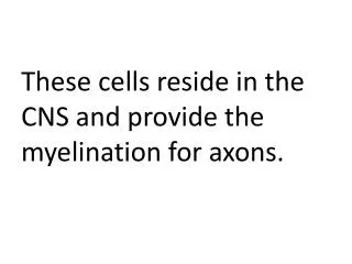 These cells reside in the CNS and provide the myelination for axons.