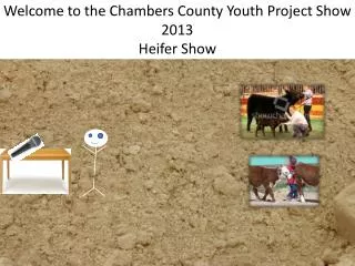 Welcome to the Chambers County Youth Project Show 2013 Heifer Show