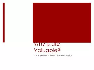 Why is Life Valuable?