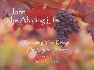 1 John The Abiding Life