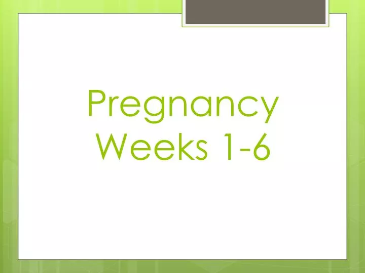 pregnancy weeks 1 6