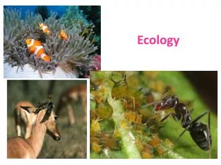 ecology