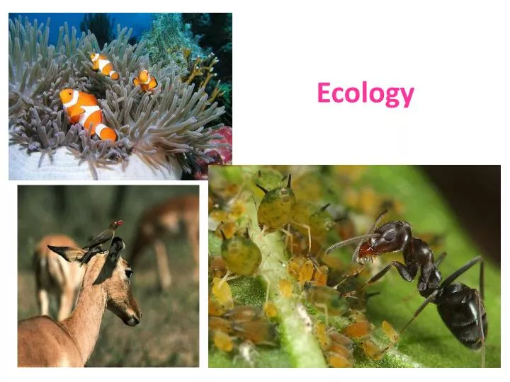 ecology