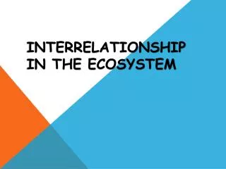 INTERRELATIONSHIP IN THE ECOSYSTEM