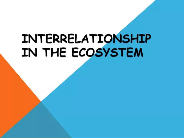 interrelationship in the ecosystem