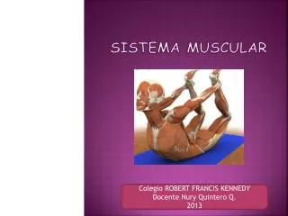sistema muscular