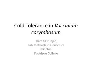 Cold Tolerance in Vaccinium corymbosum