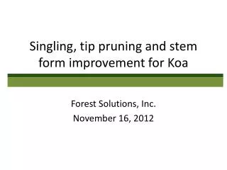 Singling, tip pruning and stem form improvement for Koa